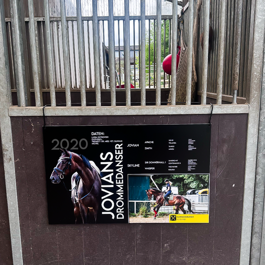 Boxentafel XL Standard