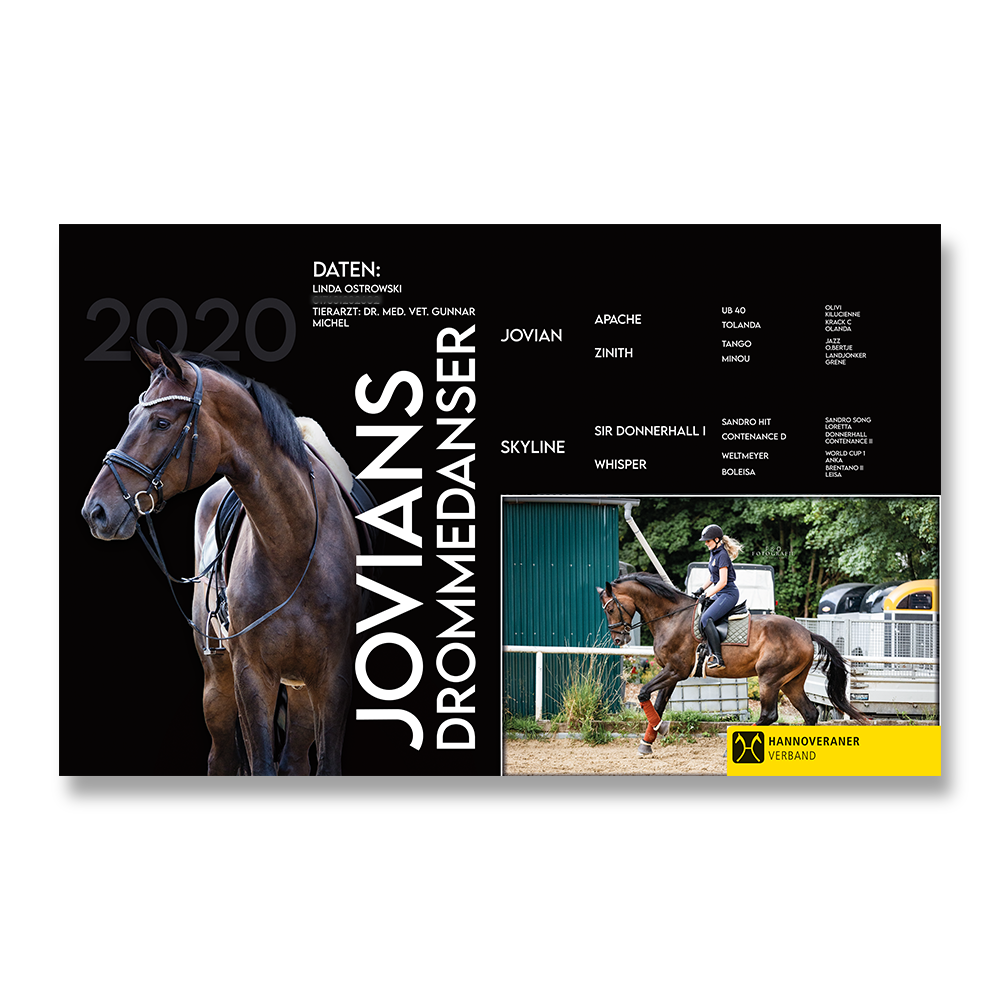 Witzige Stalltafel / Boxenschild – Working Equitation, Lusitano, PRE – Made In Germany Witzige Stalltafel / Boxenschild – Working Equitation, Lusitano, PRE – Made In Germany