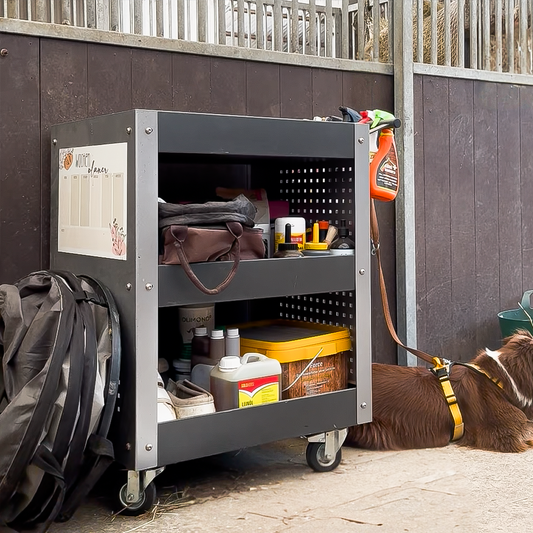 Fahrbarer Stallwagen - Organizer