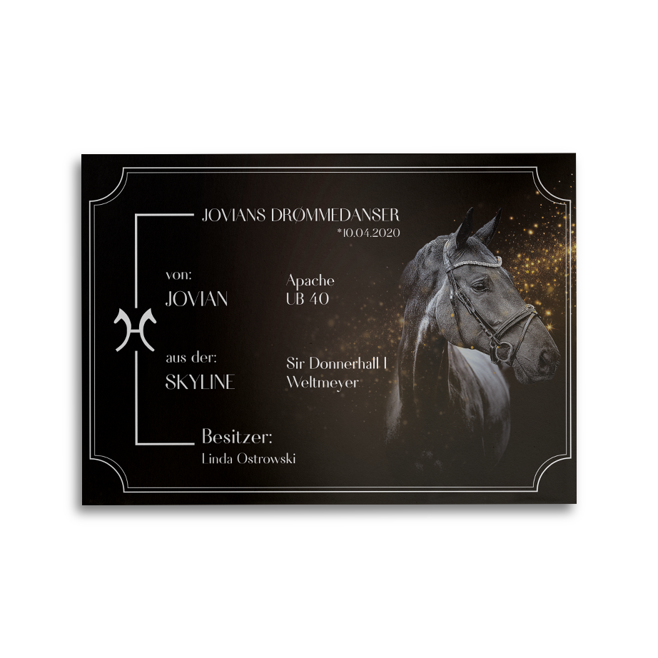 Boxenschild Golden