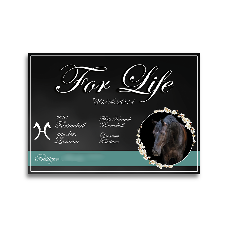 Boxenschild Premium