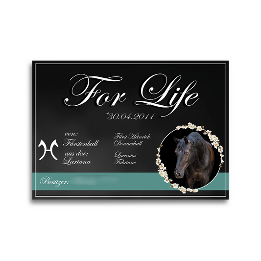 Boxenschild Premium