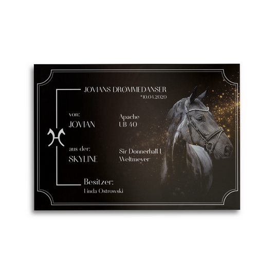 Boxenschild Golden